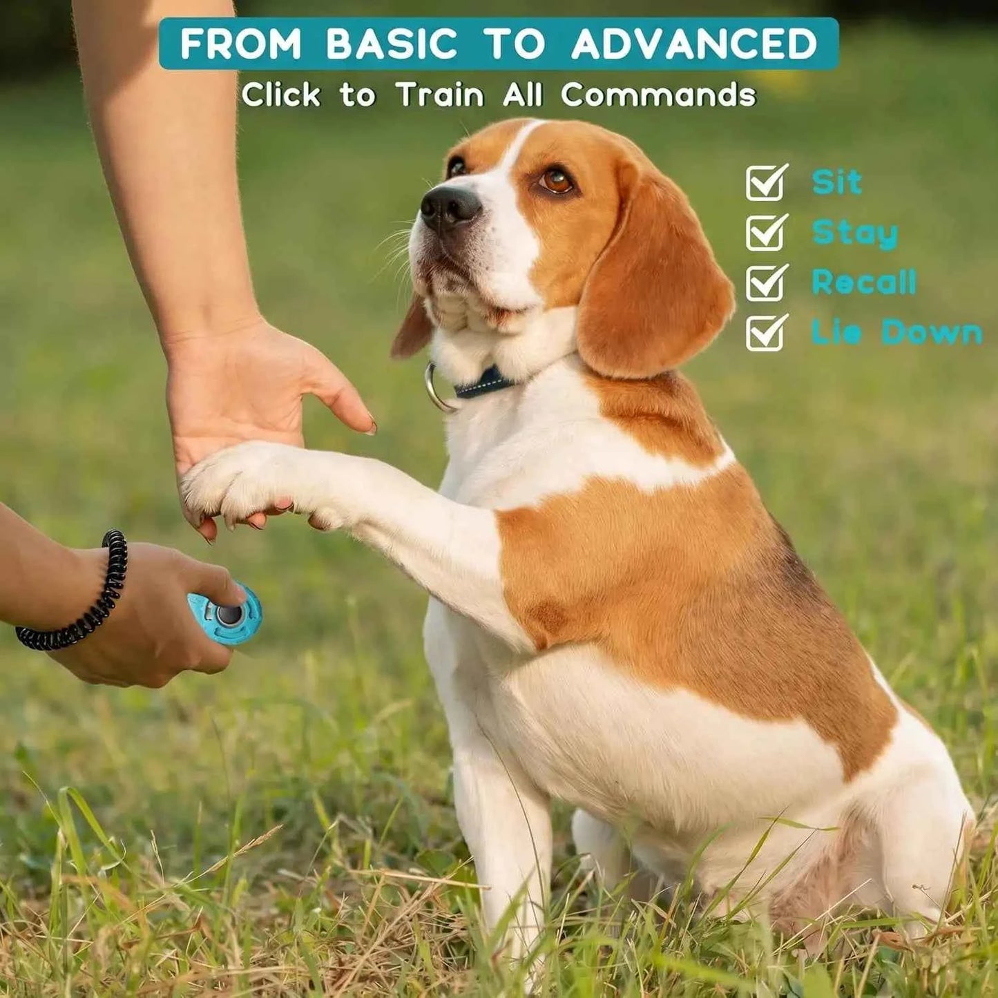 2pcs Dog Training Clicker With Sring Wrist And Keyring - Pet Dog Training Clickers For Puppy, Cat, Potty, Bird, Horse, Pet, Trai