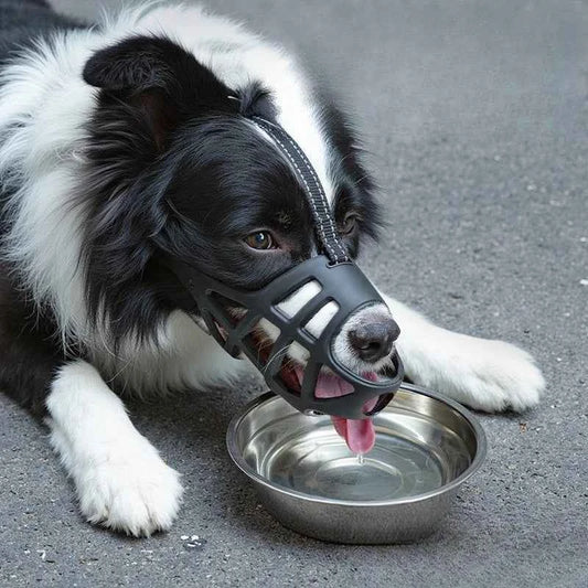 Adjustable Dog Muzzles for Preventing Biting, Barking and Random Eating. Large, Medium and Small-sized Dog Muzzles