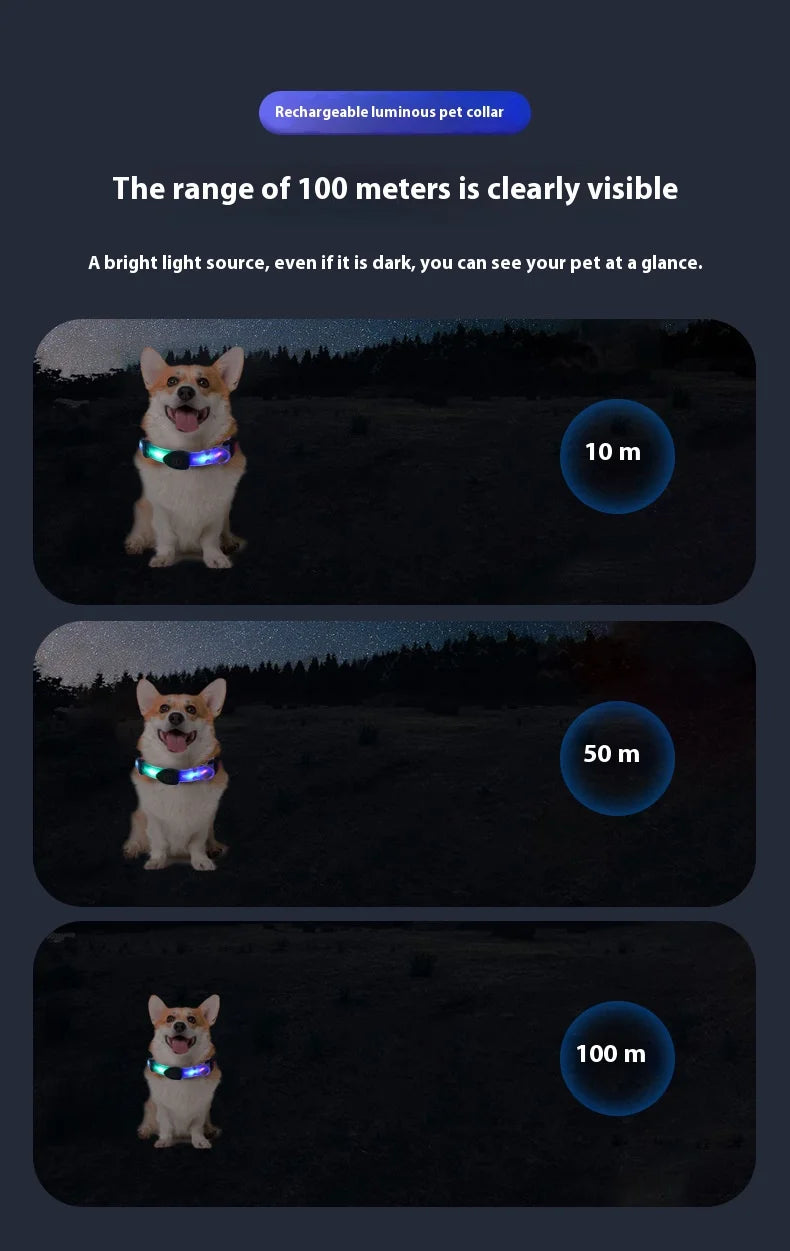 Dog Colorful Led Dog Luminous Collar Rechargeable Luminous Dog Rope Nylon Pvc Wrapped Tape Pet Luminous Collar