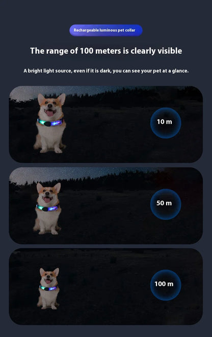 Dog Colorful Led Dog Luminous Collar Rechargeable Luminous Dog Rope Nylon Pvc Wrapped Tape Pet Luminous Collar