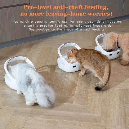 New Petoneer NutriCare Feeder Tailored For Multi-Pet Households Pet feeder Cat And Dog Feeder With App Global Version