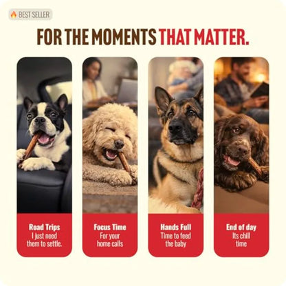 Odor Free Bully Sticks 4 Inch 25 Pack for Small and Medium Dogs - 100% Beef Chews for Pups Non-GMO Grain-Free Fully Digestible
