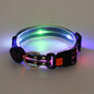 Dog Colorful Led Dog Luminous Collar Rechargeable Luminous Dog Rope Nylon Pvc Wrapped Tape Pet Luminous Collar
