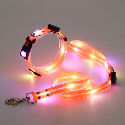Dog Colorful Led Dog Luminous Collar Rechargeable Luminous Dog Rope Nylon Pvc Wrapped Tape Pet Luminous Collar