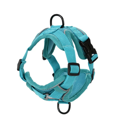 Pet Dog Harness Leash Set Adjustable Puppy Solid Chest Strap with D-ring For Small Medium Dogs Cats French Bulldog Accessories