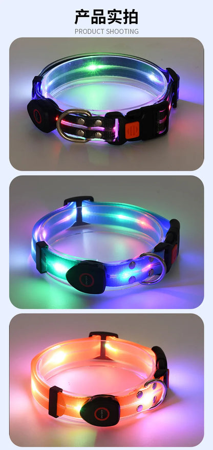 Dog Colorful Led Dog Luminous Collar Rechargeable Luminous Dog Rope Nylon Pvc Wrapped Tape Pet Luminous Collar