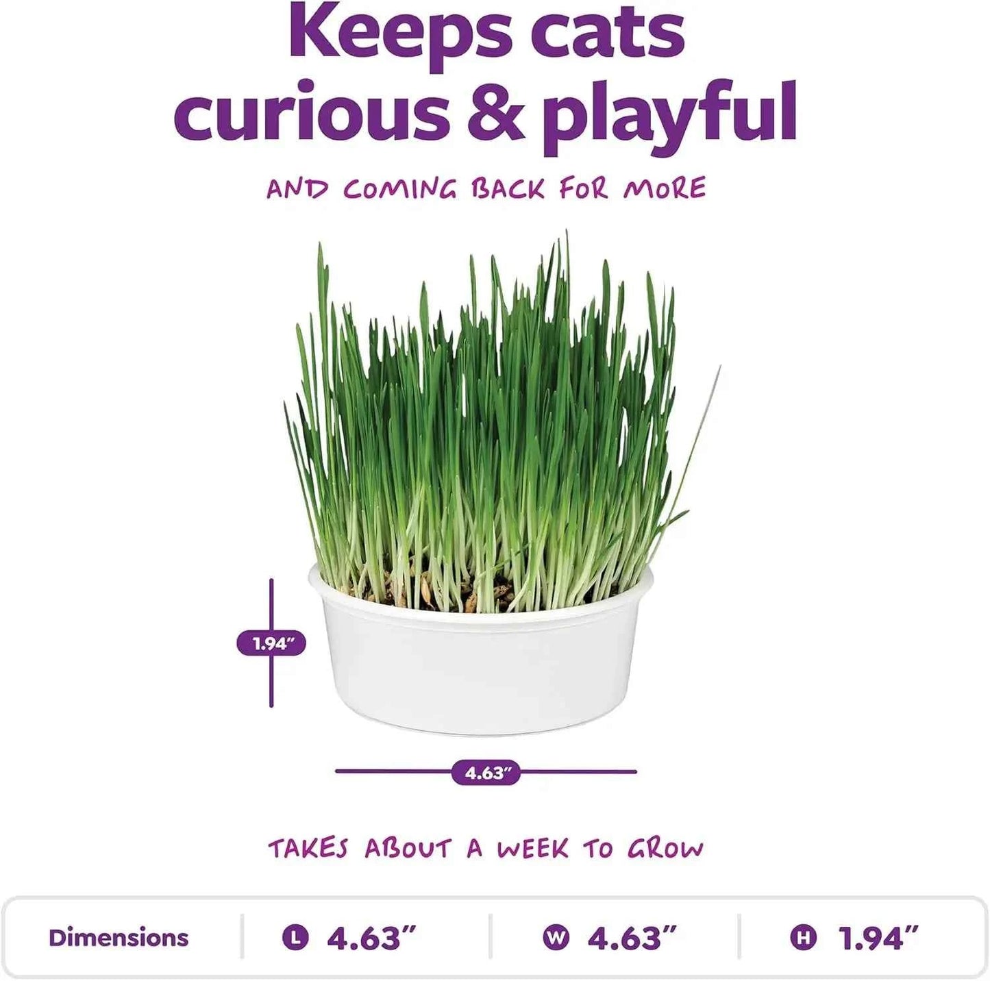 Organic Oat Grass Cat Grow Kit, Easy-to-Grow for Digestion & Hairball Support, All-in-One Solution