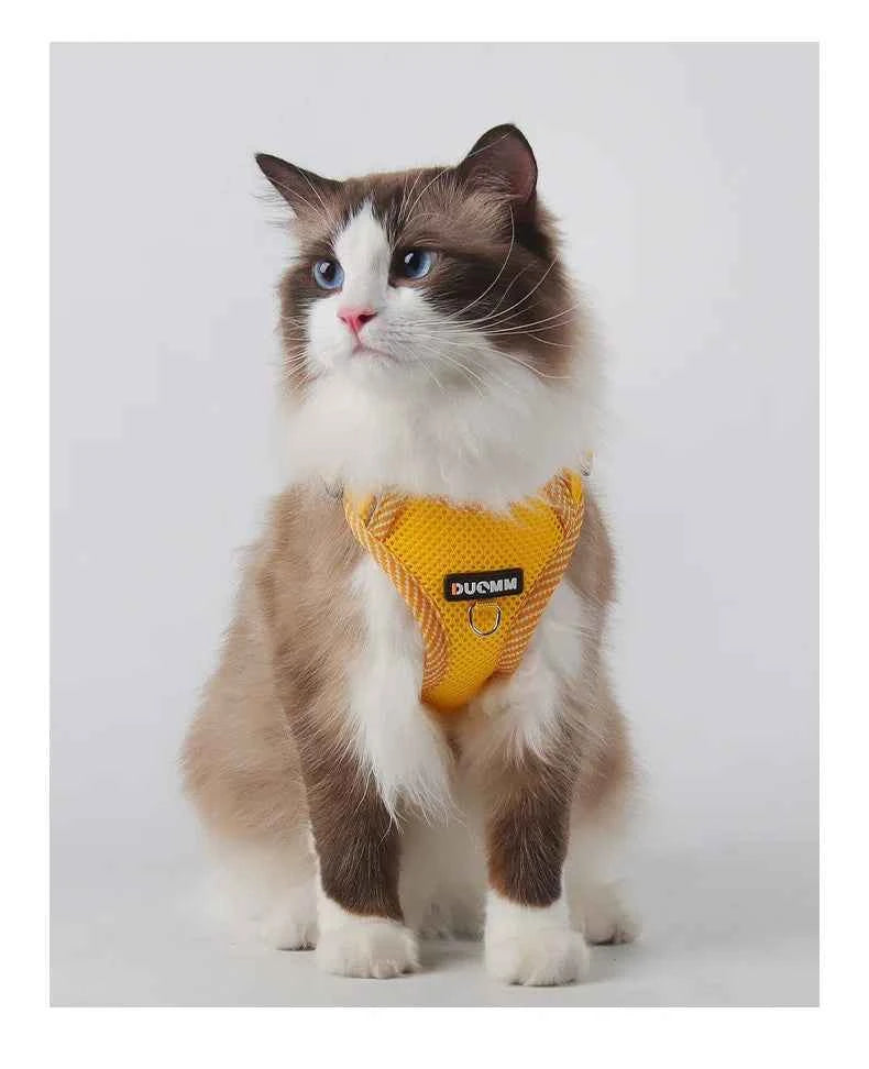 Escape Proof Cat Harness with Leash, Reflective Adjustable Mesh Vest for Cats and Kittens, Safe Outdoor Walking Training Harness