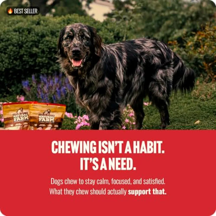 Odor Free Bully Sticks 4 Inch 25 Pack for Small and Medium Dogs - 100% Beef Chews for Pups Non-GMO Grain-Free Fully Digestible
