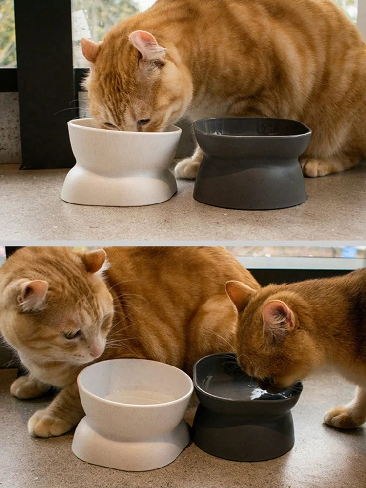1Pc Pet bowl, water and food feeder, for cat and small dog - Bdba PK