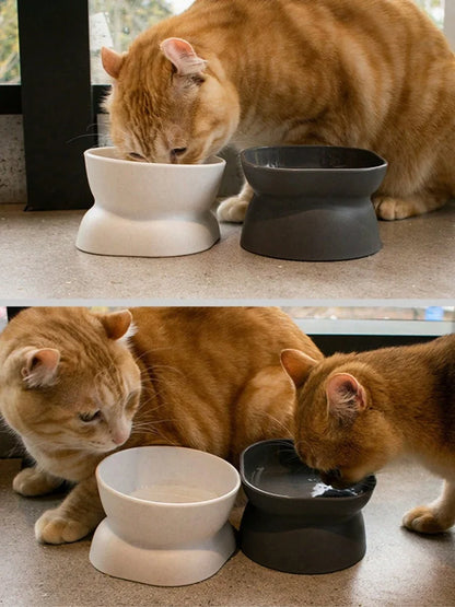 1Pc Pet bowl, water and food feeder, for cat and small dog - Bdba PK