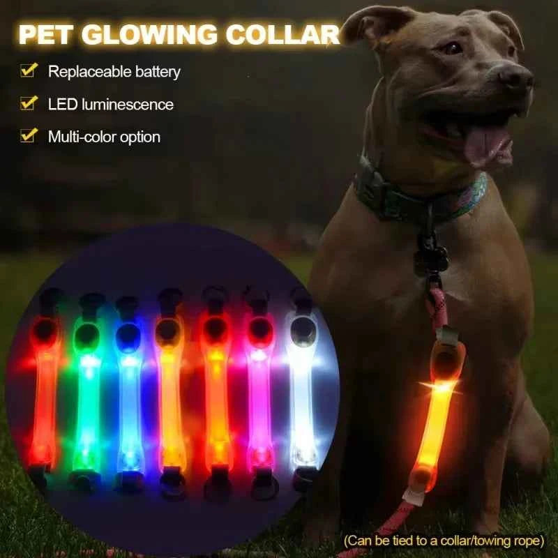 Night running pet dog safety harness collar for preventing loss. Multi-color pendant. Waterproof outdoor warning LED flashing li