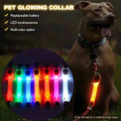 Night running pet dog safety harness collar for preventing loss. Multi-color pendant. Waterproof outdoor warning LED flashing li