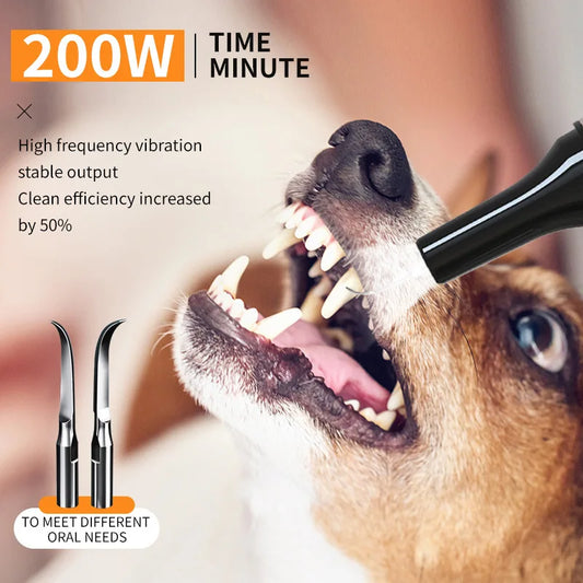 Ultrasonic Electric Dog Toothbrush – Professional Plaque & Calculus Removal for Pet Dental Care - Bdba PK