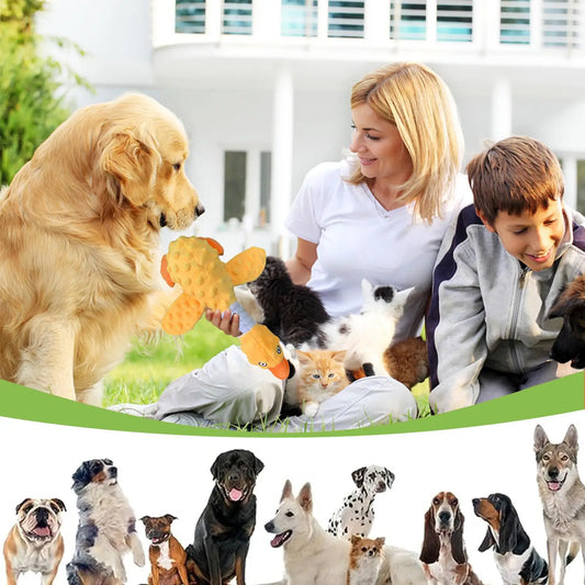 Duck Squeaky Dog Chew Toy – Bite-Resistant Plush Toy for Aggressive Chewers - Bdba PK