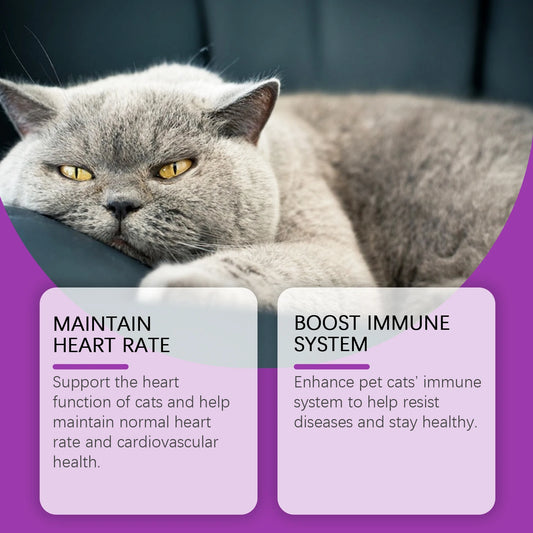15-in-1 Pet Cat Vitamin Drops Boost Cats' Immune System, Resist Diseases Care Pets' Discomfort Daily Care Vitamin Supplement - Bdba PK
