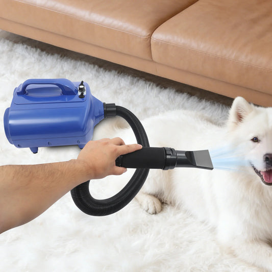 3600W Dual Motor High Power Pet Dryer 77~149℉ Warm Wind Pet Grooming Blower 60db Dogs Hair Drying Machine for Pet Hair Grooming