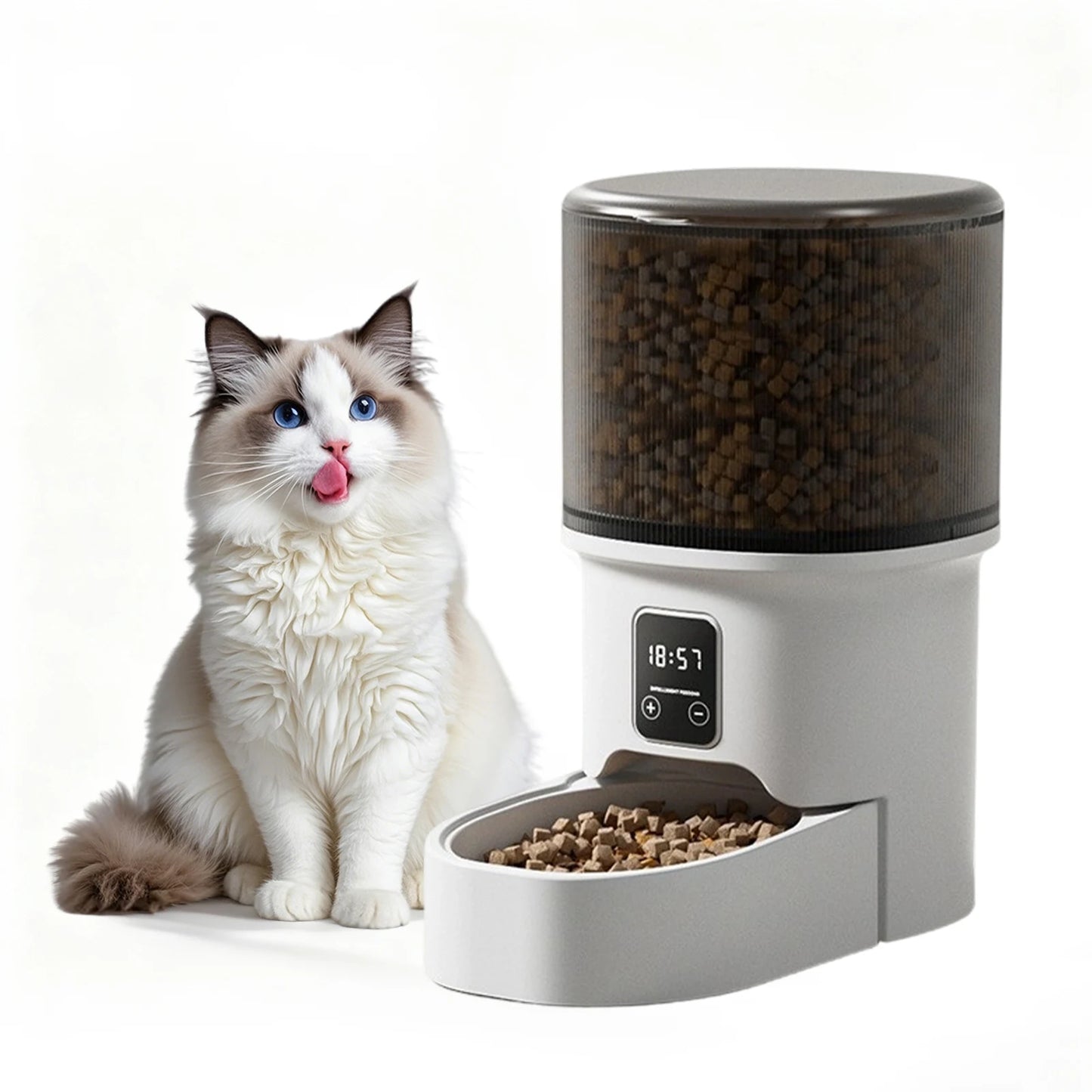 Programmable 4L Automatic Pet Feeder for Small Dogs Cats, Up to 6 Meals Daily, Timer/Portion Control, Pet Feeding Food Dispenser - Bdba PK