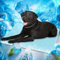 Dog Cooling Mat Instant Self Cooling Pad for Dogs and Cats Breathable Washable Summer Pet Cool Mat Indoor Outdoor, Cold Blanket