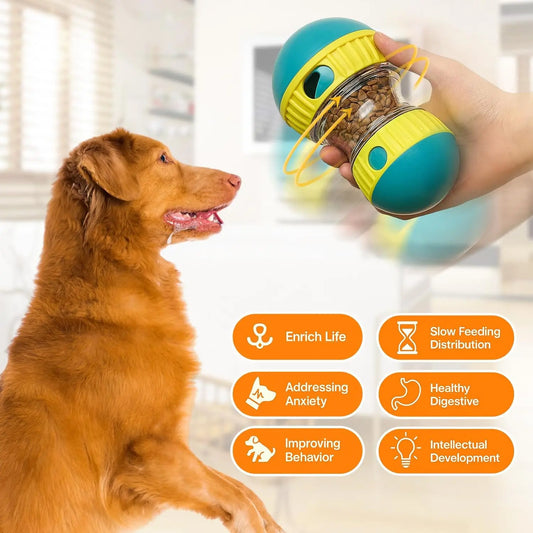 Elliptical Track Dog Puzzle Toy – Treat Dispensing Intelligence Rolling Ball for Dogs - Bdba PK