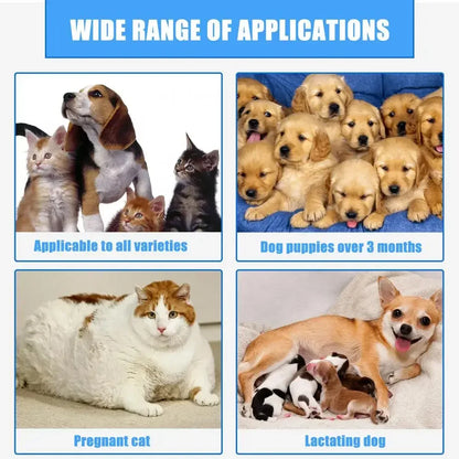 30ml Pets Anti-Itch And Itch Relief Dogs Cat Skin Healthy Care Spray Skin Care Treat Products For Itchy And Sensitive Skin - Bdba PK
