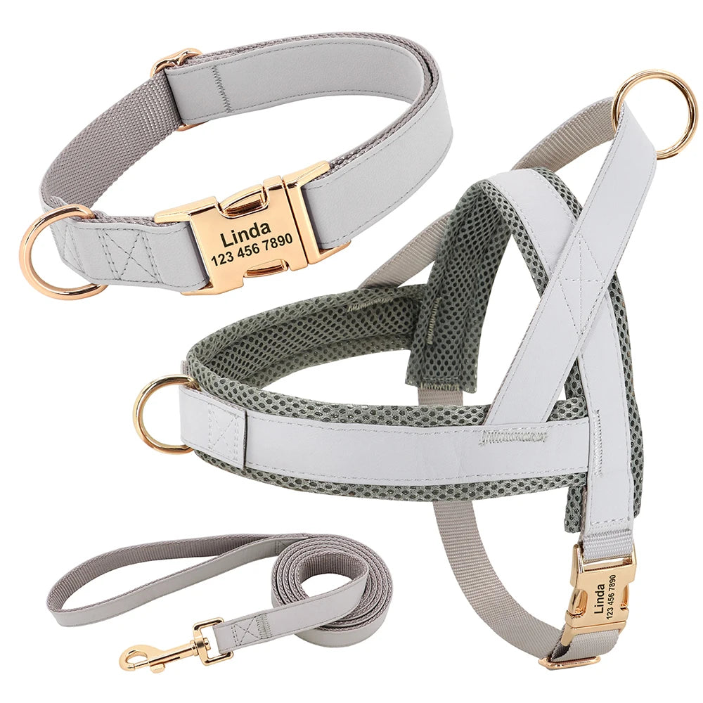 Personalized Dog Collar Harness Leash Set Custom Dog Collars No Pull Pet Vest For Small Medium Large Dogs Pets Walking Lead Rope