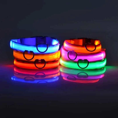 Nylon LED Luminous Dog Collar Leash Set Night Safety Flashing Glow In The Dark Fluorescent Pet Dog Walking Lead Anti-lost Night