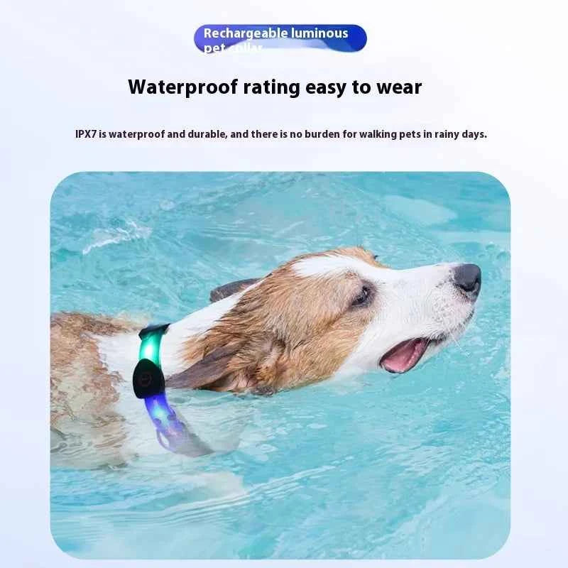 Dog Colorful Led Dog Luminous Collar Rechargeable Luminous Dog Rope Nylon Pvc Wrapped Tape Pet Luminous Collar