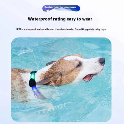 Dog Colorful Led Dog Luminous Collar Rechargeable Luminous Dog Rope Nylon Pvc Wrapped Tape Pet Luminous Collar