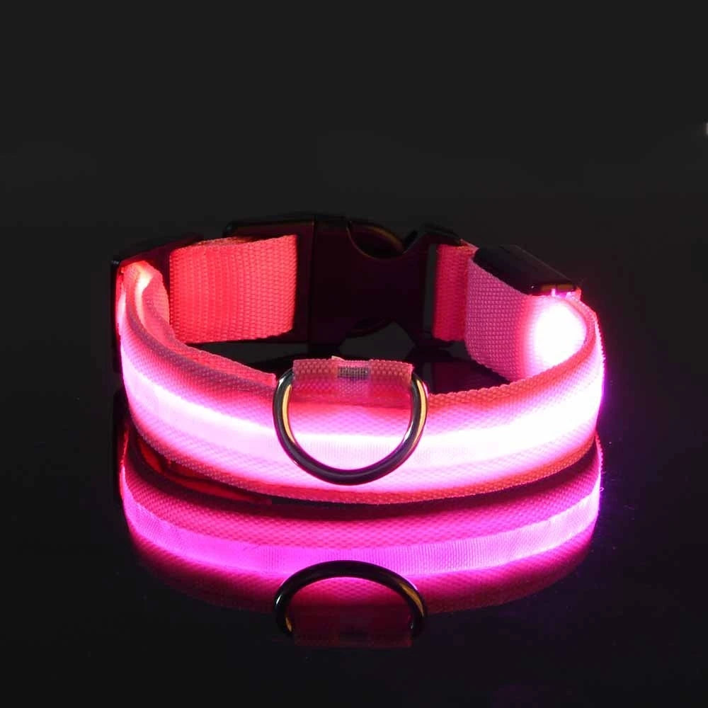 Nylon LED Luminous Dog Collar Leash Set Night Safety Flashing Glow In The Dark Fluorescent Pet Dog Walking Lead Anti-lost Night