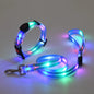 Dog Colorful Led Dog Luminous Collar Rechargeable Luminous Dog Rope Nylon Pvc Wrapped Tape Pet Luminous Collar