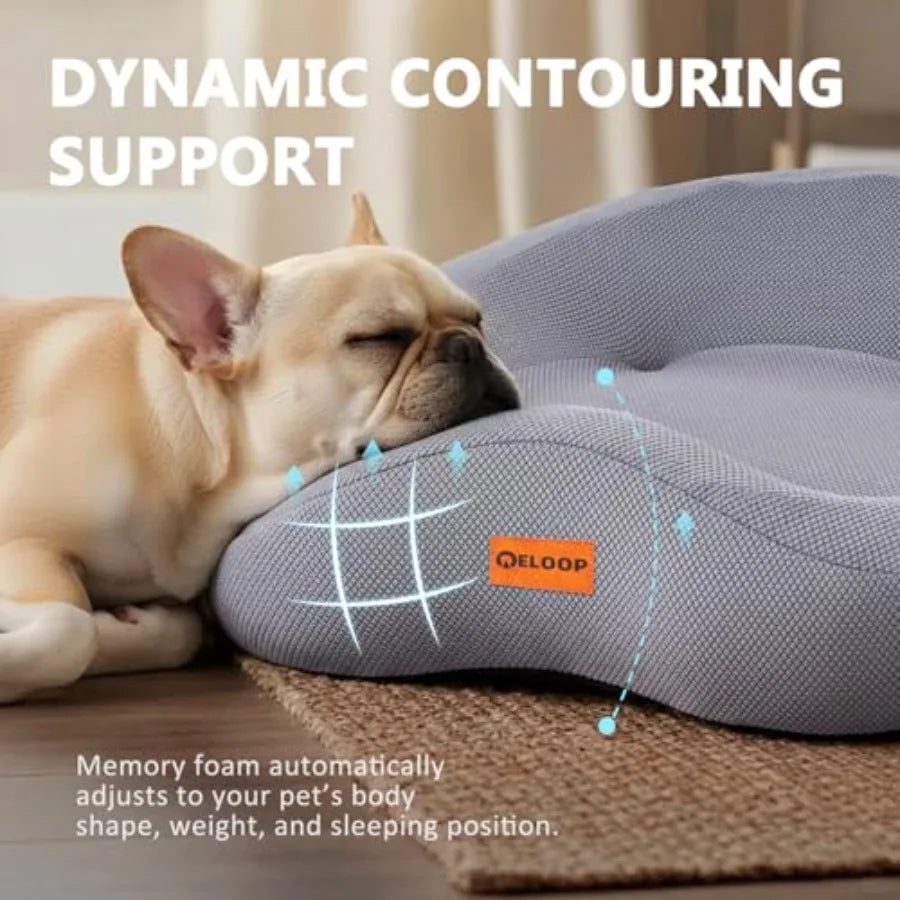 Orthopedic Memory Foam Dog Bed Large Waterproof Pet Sofa with Sides and Removable Washable Cover Non-Slip Bottom Supportive Cou