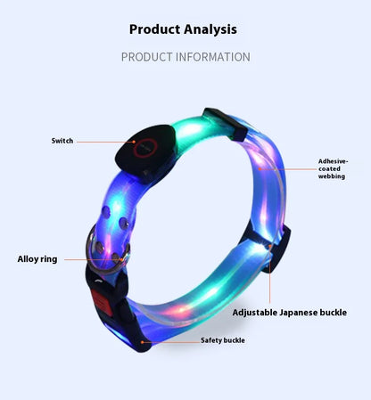 Dog Colorful Led Dog Luminous Collar Rechargeable Luminous Dog Rope Nylon Pvc Wrapped Tape Pet Luminous Collar