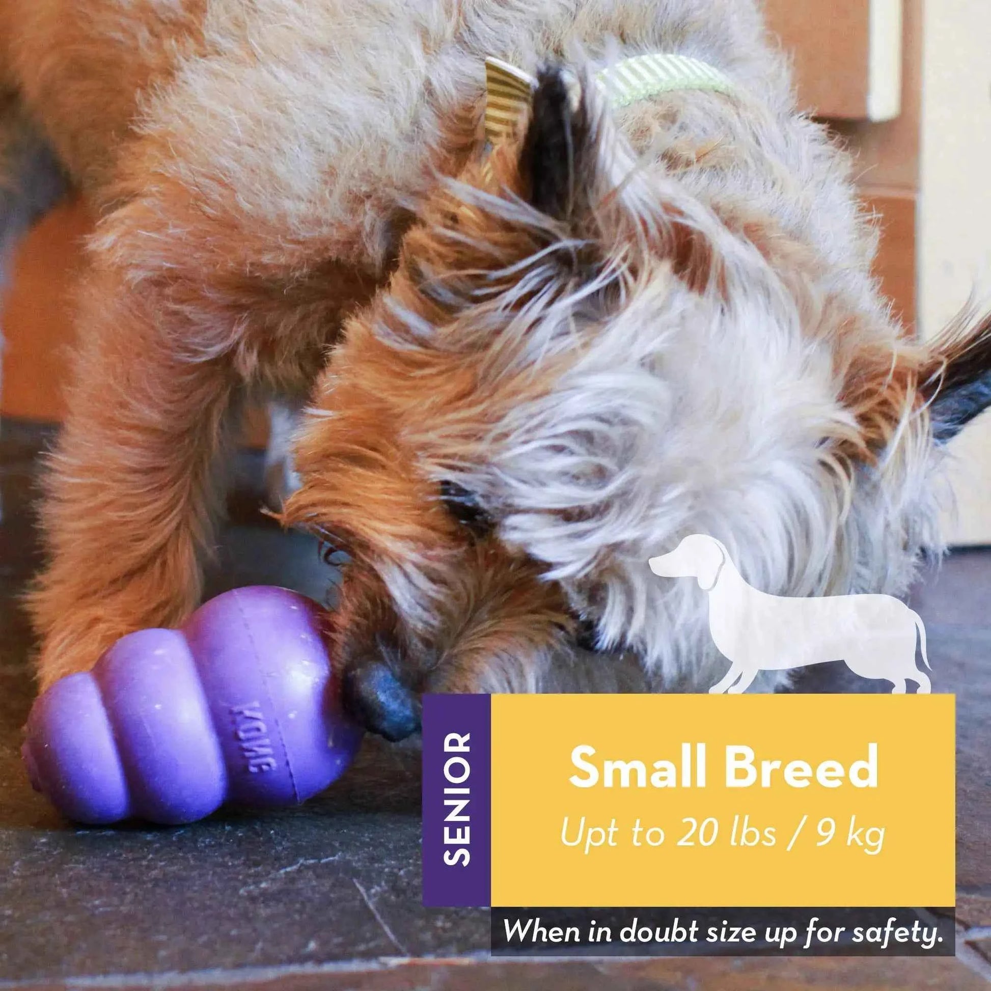 KONG Senior Dog Toy Gentle Natural Rubber Fun to Chew, Chase and Fetch Purple