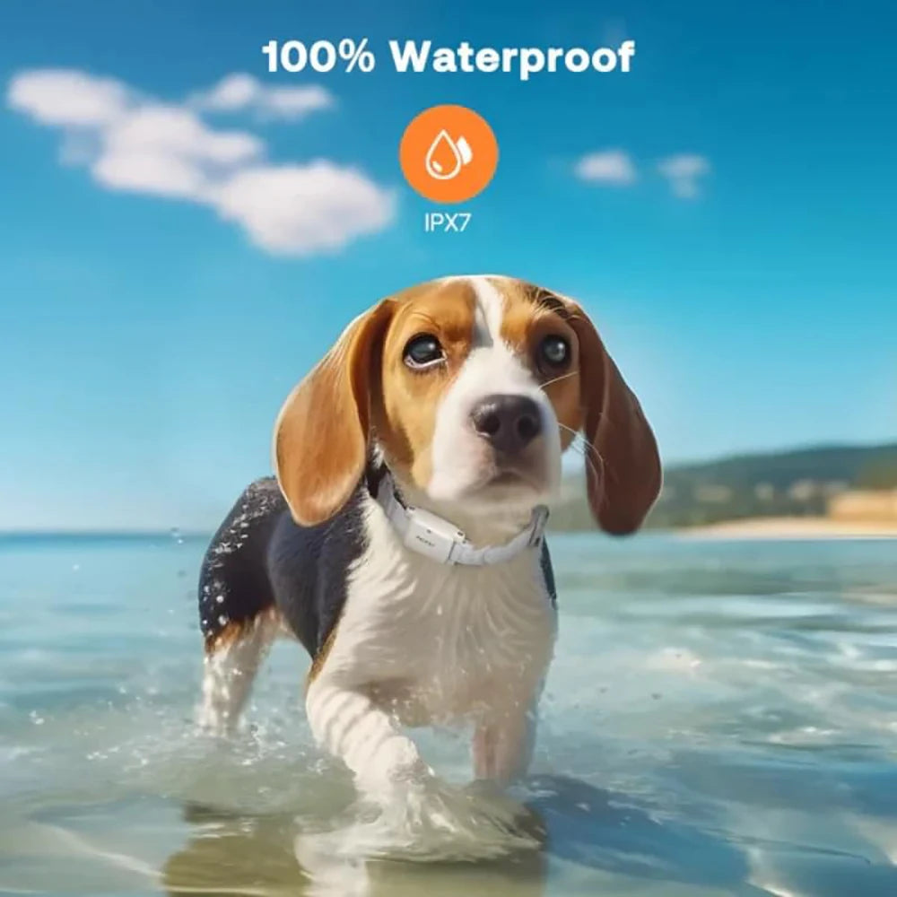 JANPET IPX7 Waterproof Dog Shock Collar – Remote Training for Dogs 5–100 lbs