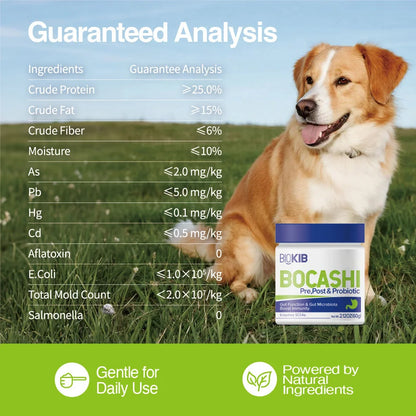 Premium Dog Probiotic Chews – Digestive Health Support for All Breeds