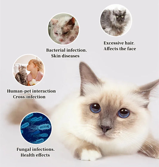 Cat Comb Dog Hair Remover Brush UVC Sterilization Pet Grooming Slicker Needle Comb Removes Tangled Self Cleaning Pet Supplies - Bdba PK