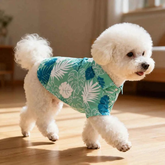 Cat Flower Shirt, Lightweight Spring and Summer Anti-static Wool, Persian Blue Gradient, Dog and Cat Pet Clothing