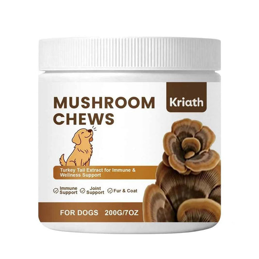 Turkey Tail Mushroom Chew for Dogs Joint Spine Mobility Support Immune Health with Lion's Mane Shiitake Turmeric Prebiotics