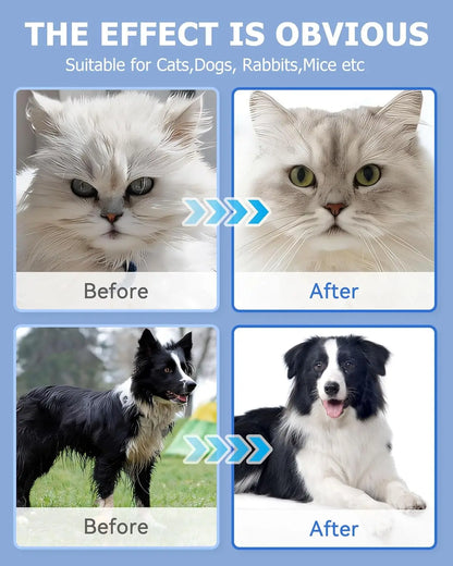 Pet Cleaning Wipe Gloves – Deodorising Grooming Bath Wipes for Dogs & Cats