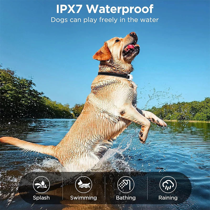 3300ft Waterproof Dog Training Collar – IP67 Shock, Vibration & Sound Remote Control
