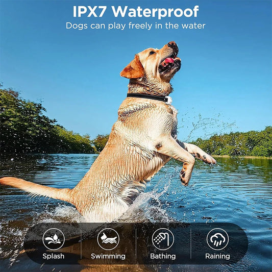 3300ft Waterproof Dog Training Collar – IP67 Shock, Vibration & Sound Remote Control - Bdba PK