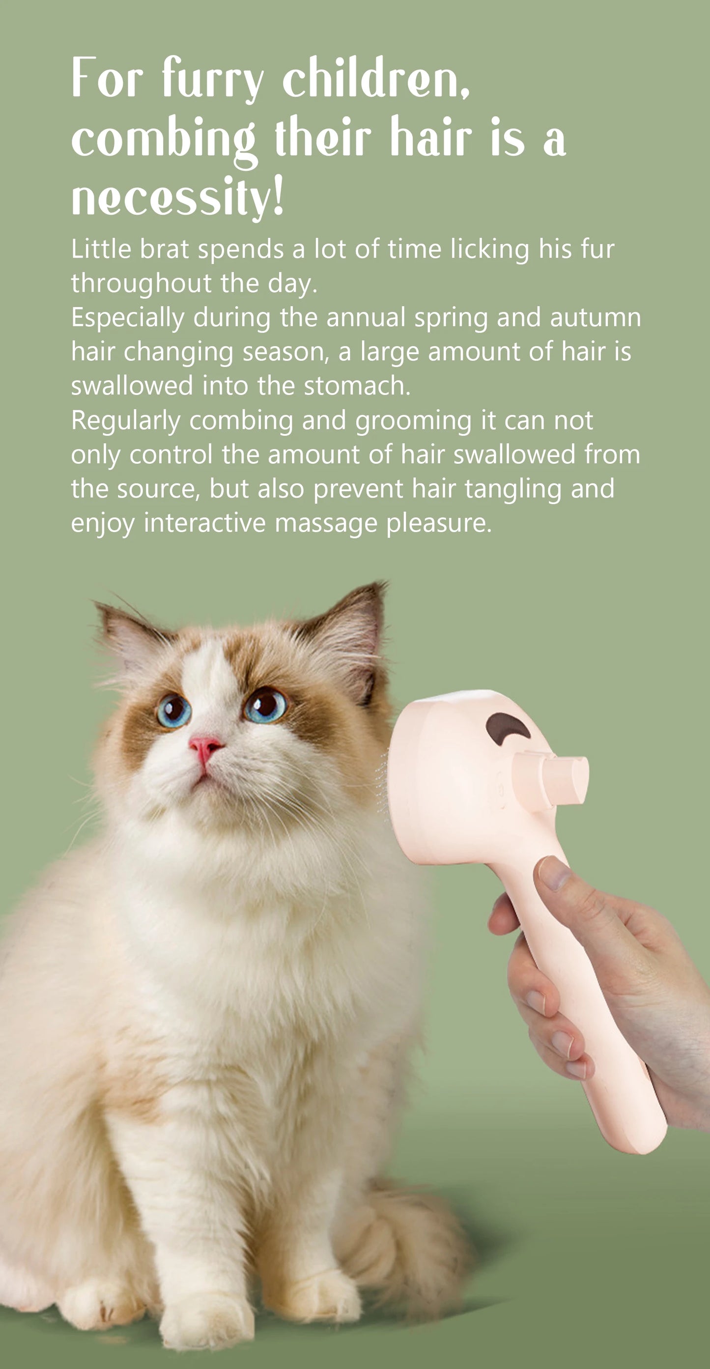 USB Steam Spray Pet Grooming Comb – Heated Massage Brush for Dogs & Cats