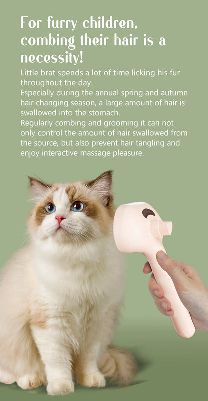 USB Steam Spray Pet Grooming Comb – Heated Massage Brush for Dogs & Cats