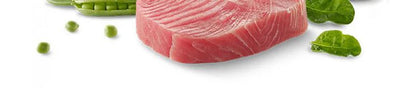 SHOUOK air-dried marine fish meat strips for Dogs with 92%meat content;100%nature;NO antibiotics;No Grains;