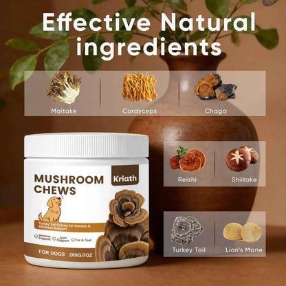 Turkey Tail Mushroom Chew for Dogs Joint Spine Mobility Support Immune Health with Lion's Mane Shiitake Turmeric Prebiotics