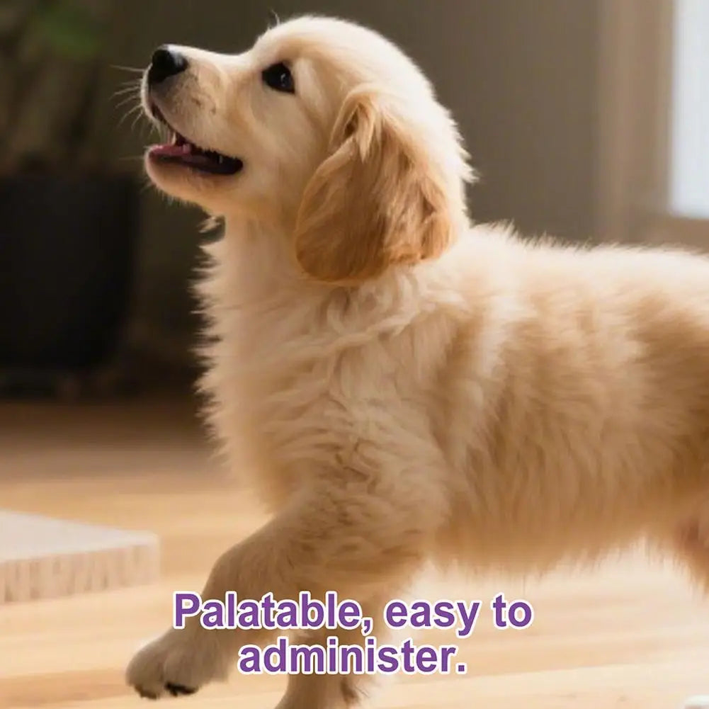 Dog Probiotic Intestinal Powder Gut Care Digestive Health Immune Support Chicken Beef Flavor Pet Nutrition Supplement