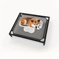 Cooling Elevated Dog Bed - Raised Dog Cot Fits, Pet Cot with Durable Supportive Mesh, Indoor & Outdoor, Black, Small Pet Bed