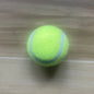 Pet Tennis Ball Launcher Set Outdoor Dog Training Toy Fetch Play Durable Ergonomic Handle Interactive Ball Picking Pet Supplies