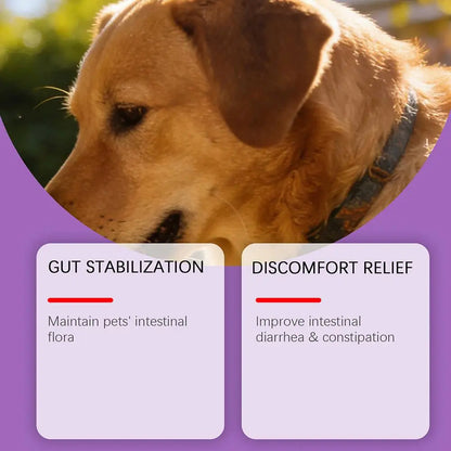 Bacon Flavor Dog Probiotic Powder Gut Flora Balance Digestive Aid Intestinal Health Care For Puppy Adult Dogs